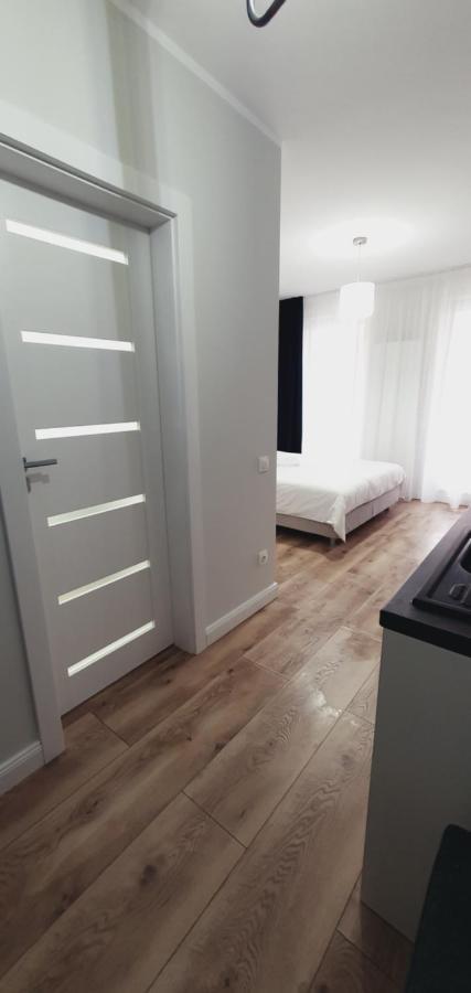 Studio Ema II Baia Mare Exteriér fotografie