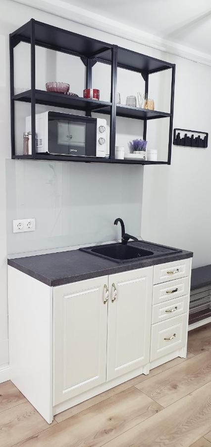 Studio Ema II Baia Mare Exteriér fotografie